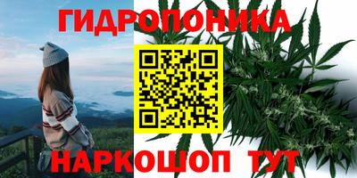 прущие крисы Ирбит
